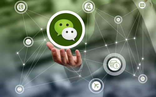 朋友圈營銷策劃推廣實戰指南 微漁商學院助你精準引流