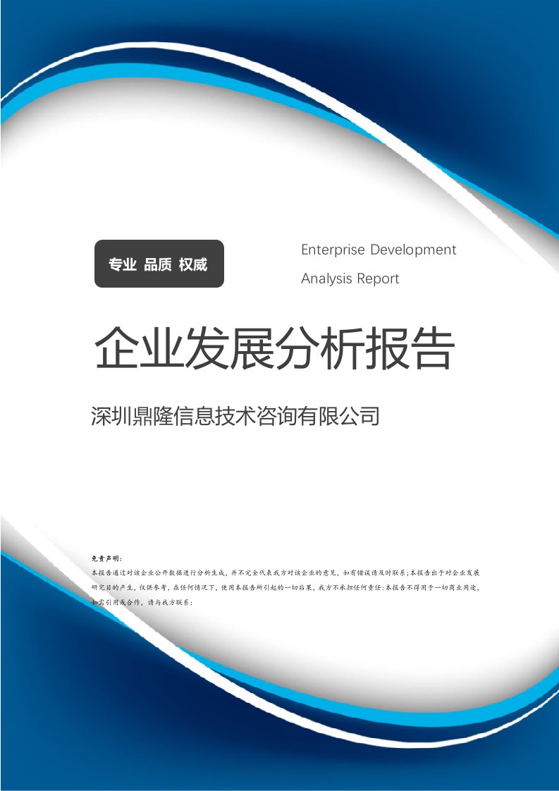 鼎隆信息技術咨詢 技術驅動下的企業發展分析報告